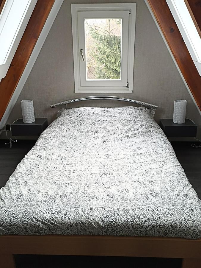 Bungalow Sud-Harz Bleicherode Onder Esterno foto